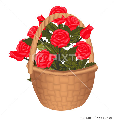 A bouquet of bright red roses in a basket tied with a scarlet bow. Vector illustration isolated on a white background. A bouquet of bright red roses in a basket tied with a scarlet bow. Vector illustration isolated on a white background. 133549756