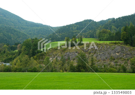 Idyllic Alpine Landscape with Green Meadow and Rocky Hillside Idyllic Alpine Landscape with Green Meadow and Rocky Hillside 133549803