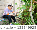 An old woman is happily gardening 133549925
