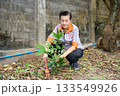 An old woman is happily gardening 133549926
