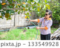 An old woman is happily gardening 133549928