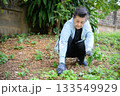 An old woman is happily gardening 133549929