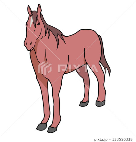馬のイラスト 133550339
