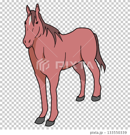 馬のイラスト 133550339
