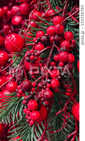 Vibrant red berries and evergreen pine branches for a festive Christmas and winter holiday background 133550765