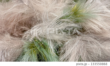Abstract soft fluffy texture background in white silver pink green and gold with glittering shimmer effect Abstract soft fluffy texture background in white silver pink green and gold with glittering shimmer effect 133550868