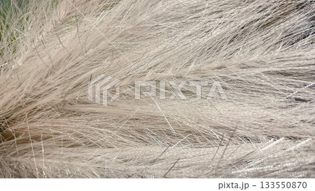 Abstract soft fluffy white and silver texture background with glittering shimmer detail close up and soft focus Abstract soft fluffy white and silver texture background with glittering shimmer detail close up and soft focus 133550870