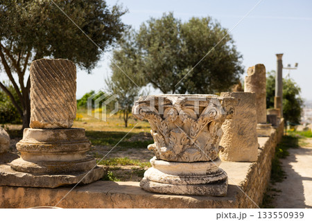Upper carved part of column is capitello , standing among remains of columns. 133550939
