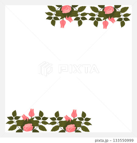 A frame decorated with light pink rose arrangements at the top and bottom edges. Vector illustration isolated on a white background. A frame decorated with light pink rose arrangements at the top and bottom edges. Vector illustration isolated on a white background. 133550999