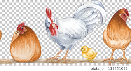 Horizontal seamless border of sessile and standing farm birds on a roost. Watercolor illustration of a poultry yard on an isolated background. Brown hens, a white rooster and chicks on a perch. 133551031
