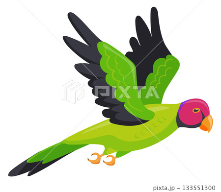 Jungle parrot flying. Green feather wings bird Jungle parrot flying. Green feather wings bird 133551300