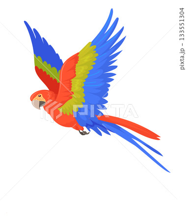 Flying macaw. Colorful parrot. Tropical cartoon bird 133551304