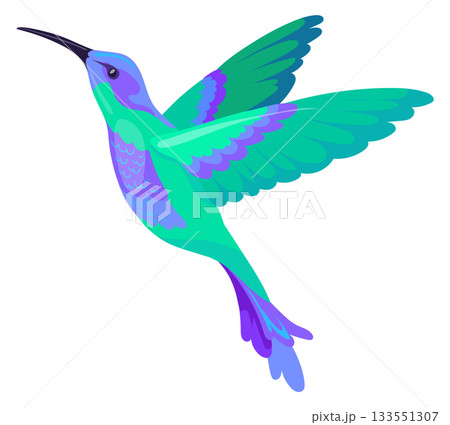 Hummingbird icon. Flying tropical bird with colorful wings Hummingbird icon. Flying tropical bird with colorful wings 133551307