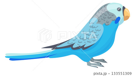 Blue parrot cartoon icon. Pet bird. Wild animal Blue parrot cartoon icon. Pet bird. Wild animal 133551309