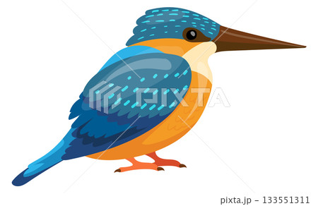 Kingfisher bird. Cartoon animal. Exotic fauna icon 133551311