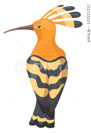 Hoopoe bird. Beautiful feather wild animal icon 133551312