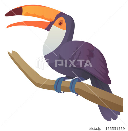 Toucan sit on tree. Jungle bird cartoon icon 133551359