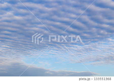 秋の空一面に広がる鱗雲 秋の空一面に広がる鱗雲 133551368