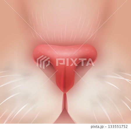 Cat nose realistic pet face sniff element 133551752