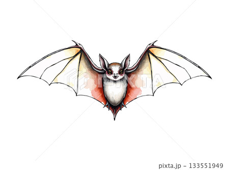 Vector illustration of a bat. 133551949