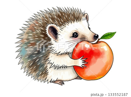 Little cute hedgehog with apple. 133552187