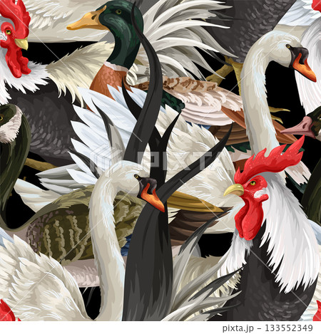 Seamless pattern with roosters, swan and duck. Vector. Seamless pattern with roosters, swan and duck. Vector. 133552349