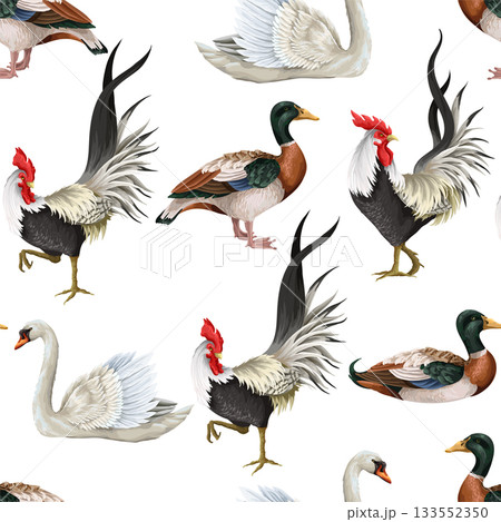 Seamless pattern with roosters, swan and duck. Vector. Seamless pattern with roosters, swan and duck. Vector. 133552350