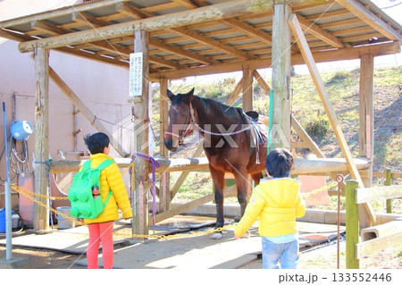 馬と子供 133552446