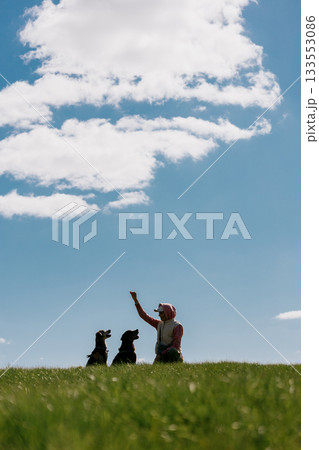 silhouette of woman playing with dogs in park against the background of blue sky. silhouette of woman playing with dogs in park against the background of blue sky. 133553086