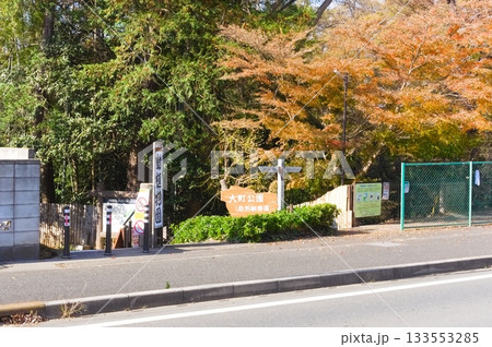 千葉県市川市大町公園周辺2025年11月 133553285