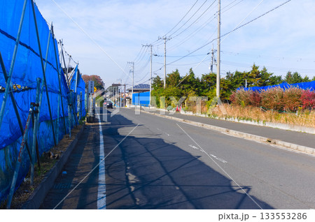 千葉県市川市動植物園周辺2025年11月 133553286