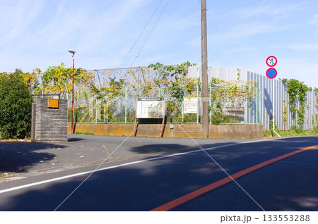 千葉県市川市動植物園周辺2025年11月 133553288