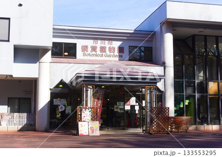 千葉県市川市動植物園周辺2025年11月 133553295