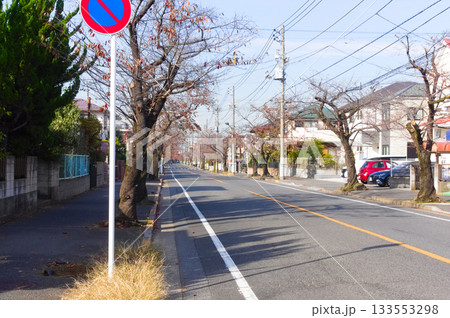 千葉県松戸市新松戸の風景2025年11月 千葉県松戸市新松戸の風景2025年11月 133553298