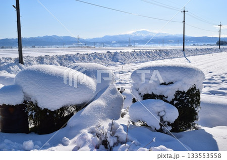 東北地方の雪景色 山形県庄内 133553558