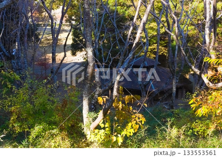 千葉県柏市手賀の丘公園周辺2025年11月 千葉県柏市手賀の丘公園周辺2025年11月 133553561