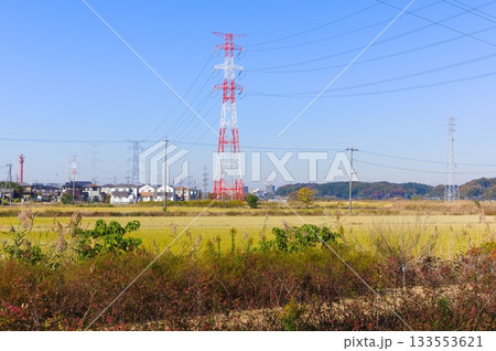 千葉県柏市手賀沼周辺2025年11月 千葉県柏市手賀沼周辺2025年11月 133553621