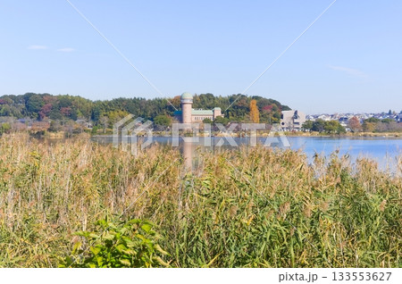 千葉県柏市手賀沼周辺2025年11月 千葉県柏市手賀沼周辺2025年11月 133553627