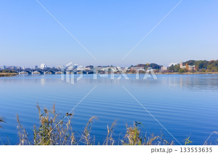 千葉県柏市手賀沼周辺2025年11月 133553635