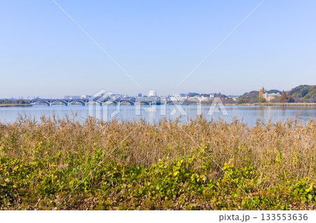 千葉県柏市手賀沼周辺2025年11月 133553636