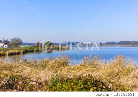 千葉県柏市手賀沼周辺2025年11月 千葉県柏市手賀沼周辺2025年11月 133553651