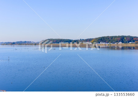 千葉県柏市手賀沼周辺2025年11月 千葉県柏市手賀沼周辺2025年11月 133553660