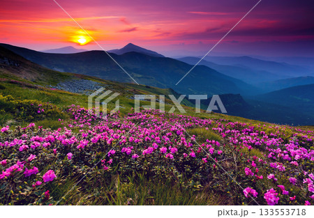 mountain landscape mountain landscape 133553718