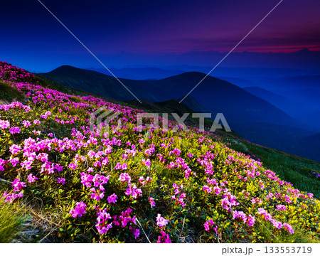 mountain landscape mountain landscape 133553719