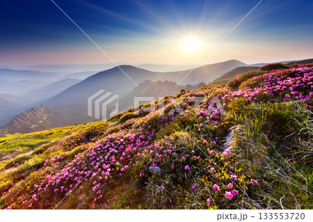 mountain landscape mountain landscape 133553720