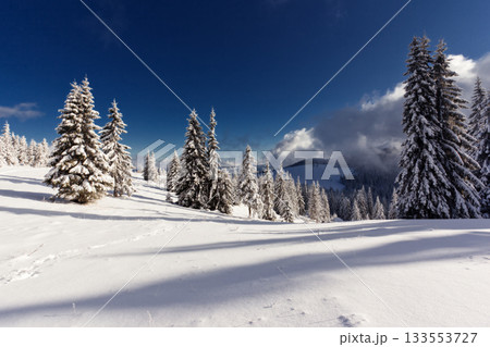Winter 133553727