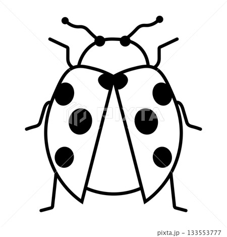 羽を広げたてんとうむしの線画イラスト 133553777