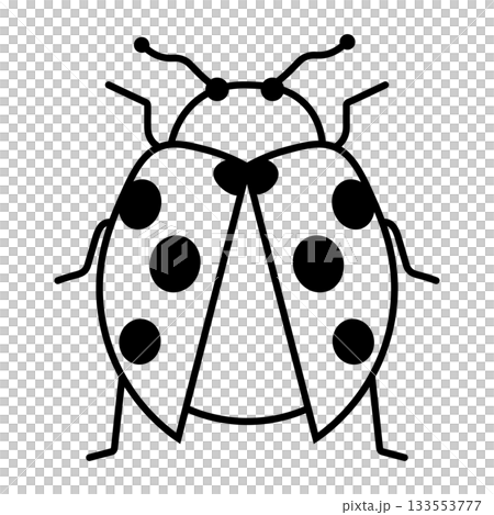 羽を広げたてんとうむしの線画イラスト 133553777