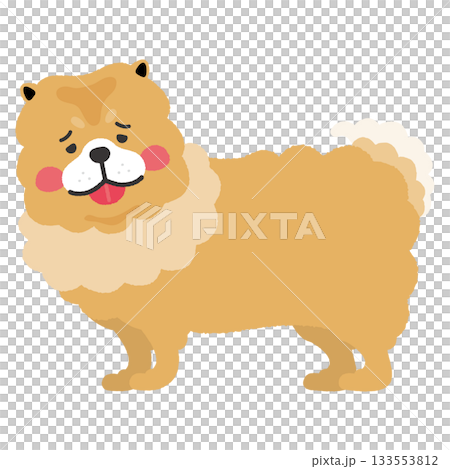 微笑鬆獅犬 133553812