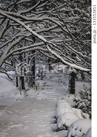 龍穏寺 雪景色 133553851
